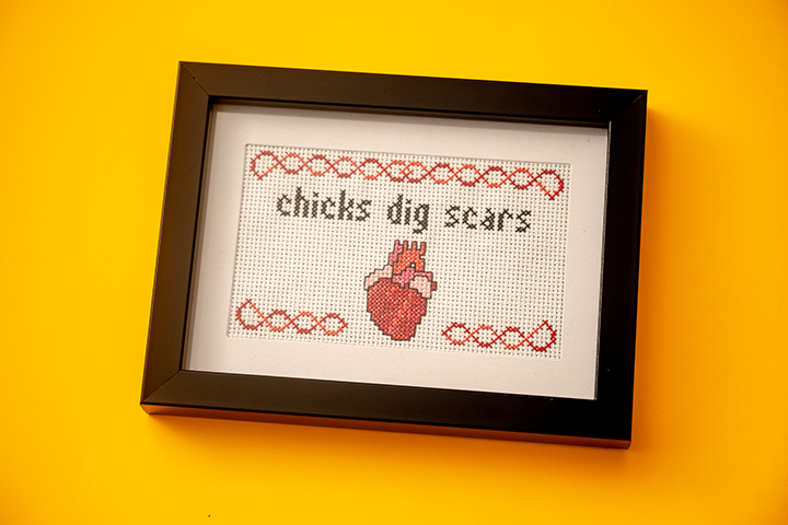 Cross-stitch design: Scars